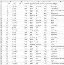 Dataset Example